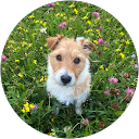 elsa malm profile picture