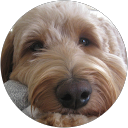 Cris Filer profile picture